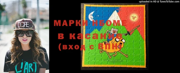 стаф Алзамай