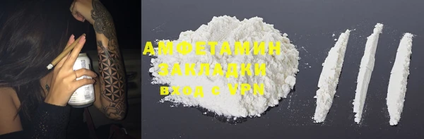 стаф Алзамай