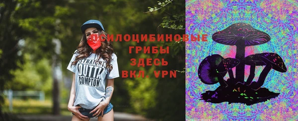 хмурый Алексеевка