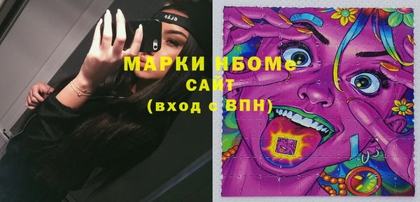 стаф Алзамай