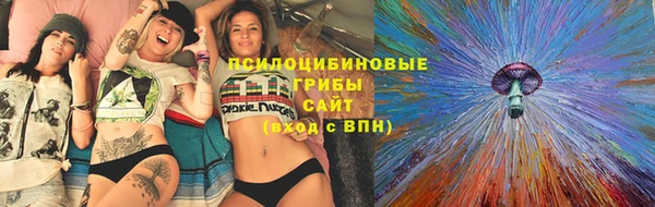 стаф Алзамай