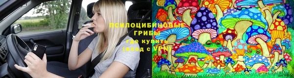 стаф Алзамай