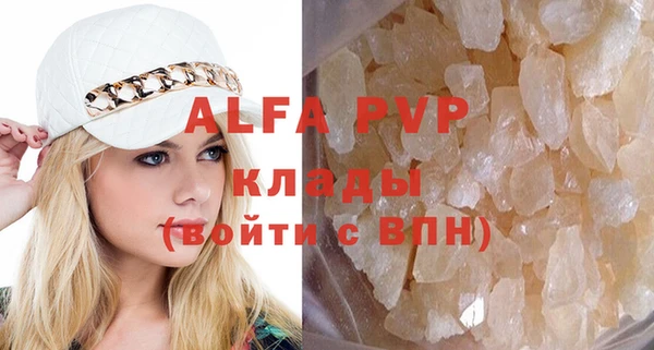 стаф Алзамай