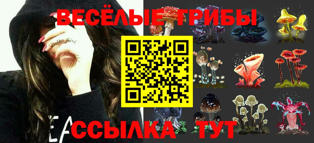 Псилоцибиновые грибы Psilocybine cubensis Урай